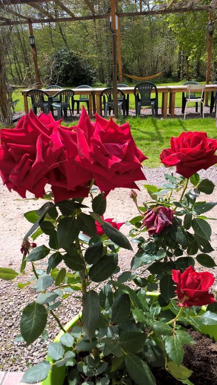 Bed and Breakfast Le Moulin De Douzy Saint-Christophe  Экстерьер фото